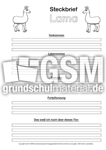 Lama-Steckbriefvorlage-sw.pdf
